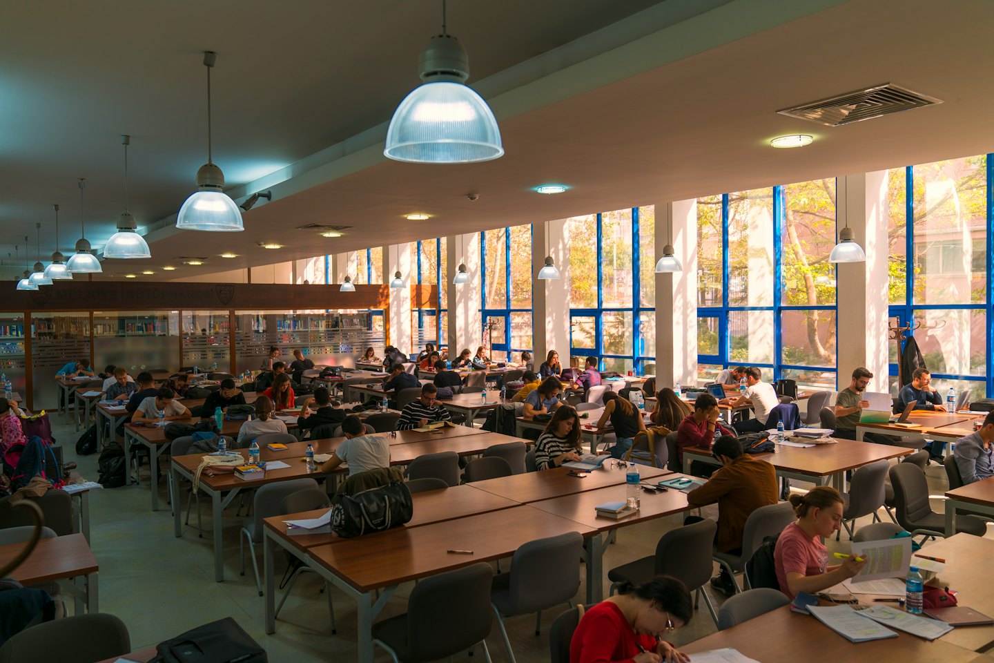 Studenti studiano con laptop a tavoli di legno in una biblioteca.